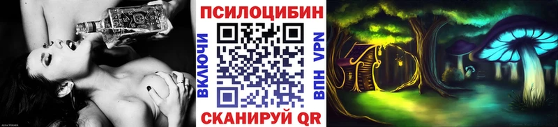 Псилоцибиновые грибы Psilocybe  цена наркотик  Нижняя Тура 